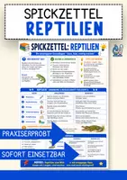 Vorschau - Merkblätter - Reptilien einfach erklärt – Biologie Spickzettel Lernzettel - Deckblatt