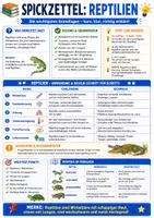 Vorschau - Merkblätter - Reptilien einfach erklärt – Biologie Spickzettel Lernzettel - Seite 1