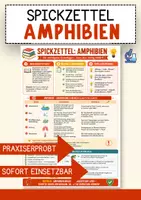 Vorschau - Merkblätter - Lernzettel Amphibien – Biologie Merkblatt zum Nachschlagen - Deckblatt