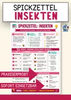 Vorschau - Merkblätter - Insekten im Überblick – Merkblatt und Spickzettel Biologie - Deckblatt