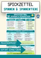 Vorschau - Merkblätter - Kompakte Übersicht Spinnen & Spinnentiere – Spickzettel Biologie - Deckblatt