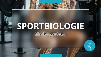 Vorschau - Präsentationen/Tafelbilder - Sportbiologische Grundlagen ⎮ Skelettsystem - Präsentation für Klasse 10 bis 13 - Seite 3