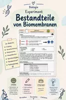 Vorschau - Stundenentwürfe - Experiment Bestandteile von Biomembranen (Rotkohlversuch) - Deckblatt