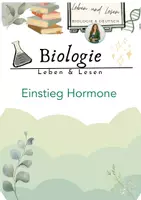 Vorschau - Stundenentwürfe - Einstieg Hormone - Deckblatt