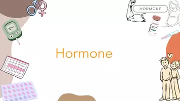 Vorschau - Stundenentwürfe - Einstieg Hormone - Seite 1