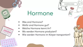 Vorschau - Stundenentwürfe - Einstieg Hormone - Seite 2