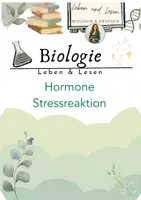 Vorschau - Stundenentwürfe - Hormone Stressreaktion - Deckblatt