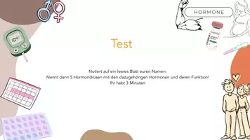 Vorschau - Stundenentwürfe - Hormone Stressreaktion - Seite 2