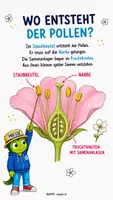 Vorschau - Präsentationen/Tafelbilder - Wie vermehren sich Pflanzen? Bestäubung einfach erklärt - Seite 1