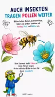 Vorschau - Präsentationen/Tafelbilder - Wie vermehren sich Pflanzen? Bestäubung einfach erklärt - Seite 3