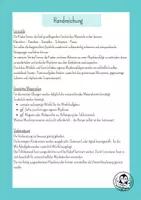Vorschau - Unterrichtsreihen - Musik Grundschule Klasse 1-2– Bodypercussion & Rhythmus | 4 fertige Musikstunden | wenig Vorbereitung - Seite 3