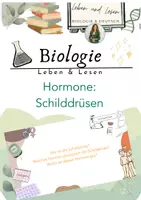Vorschau - Stundenentwürfe - Materialpaket Hormone - Seite 1