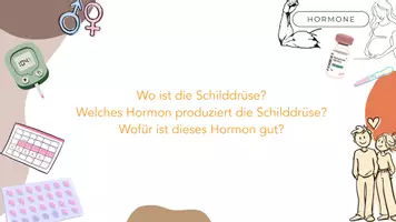 Vorschau - Stundenentwürfe - Materialpaket Hormone - Seite 2