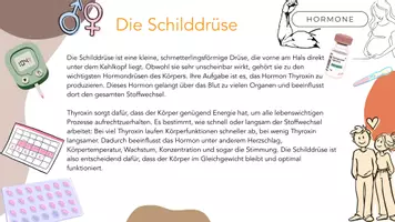 Vorschau - Stundenentwürfe - Materialpaket Hormone - Seite 3