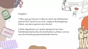 Vorschau - Stundenentwürfe - Hormone Schilddrüse - Seite 3