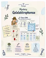 Vorschau - Stundenentwürfe - Mystery zur Gelelektrophorese - Deckblatt