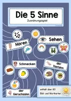 Vorschau - Spiele - Die 5 Sinne - Zuordnungsspiel - Deckblatt