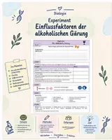 Vorschau - Stundenentwürfe - Experiment: Einflussfaktoren der alkoholischen Gärung - Deckblatt