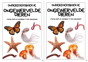Voorbeeld - Onderzoeksboekje - Ongewervelde dieren - Biologie - Pagina 2