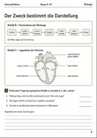 Vorschau - Arbeitsblätter - Modelle in der Biologie Basisscreening Klasse 9–10 - Seite 3