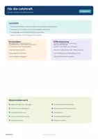 Vorschau - Arbeitsblätter - Sommerferien-Rückblick. Steckbrief & Schreibimpulse - Seite 2