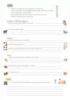 Vorschau - Arbeitsblätter - Einführung eines Schulhundes 🐶🏫 - Seite 3