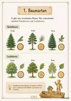 Vorschau - Arbeitsblätter - Arbeits-/Informationsheft zum Thema Holz - Seite 2