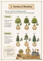 Vorschau - Arbeitsblätter - Arbeits-/Informationsheft zum Thema Holz - Seite 3