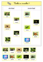 Aperçu - Apprentissages en autonomie - Vertébré ou invertébré - Page de couverture