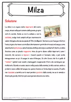 anteprima - Esercizi - Milza – Scheda: testo con spazi vuoti, comprensione all'ascolto e crucipuzzle - Pagina 2