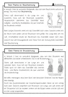 Vorschau - Arbeitsblätter - Atemmechanik_Arbeitsblatt - Seite 2