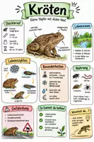 Vorschau - Arbeitsblätter - Lernplakat + Arbeitsblätter zum Thema "Kröten" + Lösung & MP3 + Infografik - Deckblatt