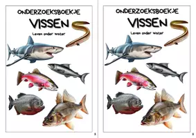 Voorbeeld - Onderzoeksboekje - Vissen - Biologie - Pagina 2
