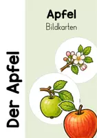 Vorschau - Bildkarten - DER APFEL - Kreislauf / Entwicklung des Apfels - Deckblatt