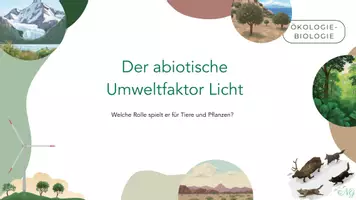 Vorschau - Arbeitsblätter - Die abiotischen Faktoren Licht und Wasser - Seite 1