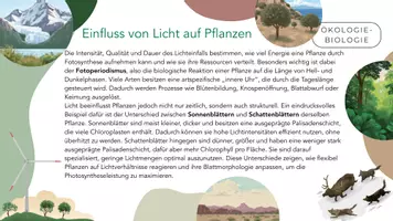 Vorschau - Arbeitsblätter - Die abiotischen Faktoren Licht und Wasser - Seite 2