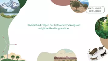 Vorschau - Arbeitsblätter - Die abiotischen Faktoren Licht und Wasser - Seite 3