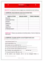 Aperçu - Feuilles d'exercices - Family_Ceintures - Page 3