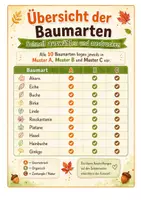 Vorschau - Arbeitsblätter - Herbst-Ausmalbilder – 30 Baumblätter mit Mustern - Seite 2