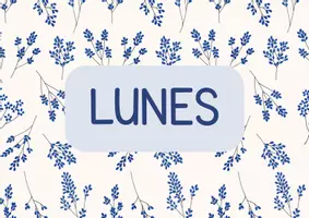 Vista previa - Decoración del aula - DIAS DE LA SEMANA Y MESES DEL AÑO (En ingles Y Castellano) - Portada