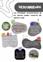 Vista previa - Fichas informativas / Documentos de lectura - Revista 'Los insectos' - página 2