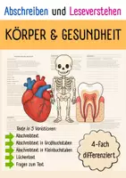 Vorschau - Arbeitsblätter - Materialpaket I ABSCHREIBEN & LESEVERSTEHEN I Differenziert I 5 Varianten - Seite 1