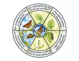 Vorschau - Stationenlernen - Lebenszyklus Schmetterling Legekreise differenziert - Seite 1