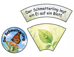 Vorschau - Stationenlernen - Lebenszyklus Schmetterling Legekreise differenziert - Seite 2
