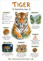 Vorschau - Arbeitsblätter - Lernplakat + Arbeitsblätter zum Thema "Tiger" + Lösung & MP3 + Infografik - Deckblatt