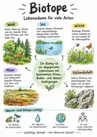 Vorschau - Arbeitsblätter - Lernplakat + AB mit Fragen zum Thema "Biotope" + Lösungsblatt + Mindmap + Infografik - Deckblatt