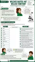 Vorschau - Unterrichtsreihen - 🔬🏆 Mikroskopier-Führerschein – Komplettes Unterrichtsmaterial Mikroskopieren | Biologie 🧫🔍 | Arbeitsblätter, Lösungsblätter, Führerschein & Kahoott! | Klasse 5–8 - Seite 2