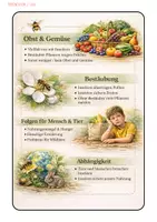 Vorschau - Arbeitsblätter - Insekten – Einstieg und 3-fach differenzierte Sachtexte mit Lösung für Klasse 3–4 - Seite 2