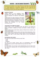 Vorschau - Arbeitsblätter - Insekten – Einstieg und 3-fach differenzierte Sachtexte mit Lösung für Klasse 3–4 - Seite 3