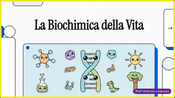 anteprima - Esperimenti - Elementi, biomolecole, proteine e acidi nucleici - Pagina di copertina